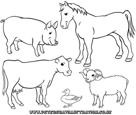 Domestic Animals For Coloring Coloring For Kids