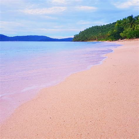 4 Must Visit Pink Beaches In The Philippines In 2022
