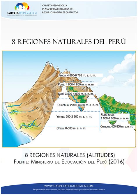 8 Regiones Naturales Del Perú Ciencia Geográfica