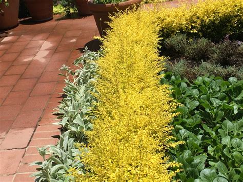 This botanical garden in Corona del Mar is one for your bucket list