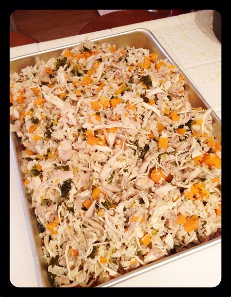 Diabetes is a health problem that you might be familiar with in humans, but did you know that it can also affect your furry friend? Whoreders: DIY Homemade Dog Food