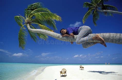 Asia Indian Ocean Maldives Seascape Beach Editorial Stock Photo Image