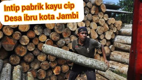 Pabrik kayu cari di antara 18.500+ lowongan kerja terbaru di indonesia dan di luar negeri gaji yang layak pekerjaan penuh waktu, sementara dan paruh waktu cepat & gratis pemberi kerja terbaik kerja: Lihat dalam pabrik kayu cip desa ibru kota Jambi - YouTube
