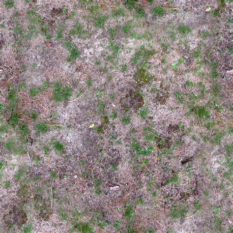 Dry Grass Texture Seamless Grass Texture Seamless Soil Texture Sexiz Pix