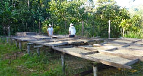 Volunteer Abroad For Adults-[Life Changing]- Since 2006