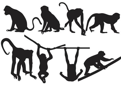 Monkey Silhouette Vectors 92469 Vector Art At Vecteezy