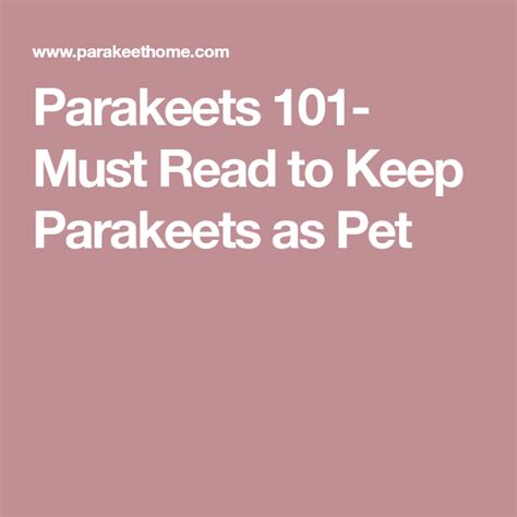 Parakeets 101 Must Read To Keep Parakeets As Pet Parakeets As Pets