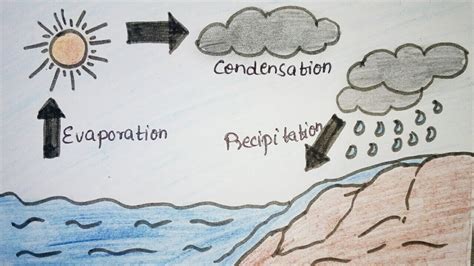 How To Draw Water Cycle School Project Drawing Art Youtube