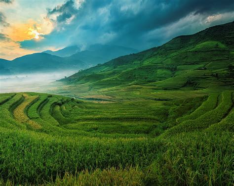 Free Download Hd Wallpaper Rice Terraces Green Grass Field Asia