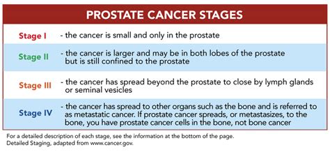 The Four Stages Of Prostate Cancer Stages Of Prostate Cancer