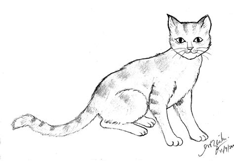 Kumpulan Contoh Sketsa Gambar Kucing Duduk Informasi Masa Kini