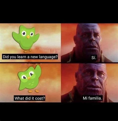 26 Duolingo Memes Thatll Strike Fear In Your Heart Memebase Funny