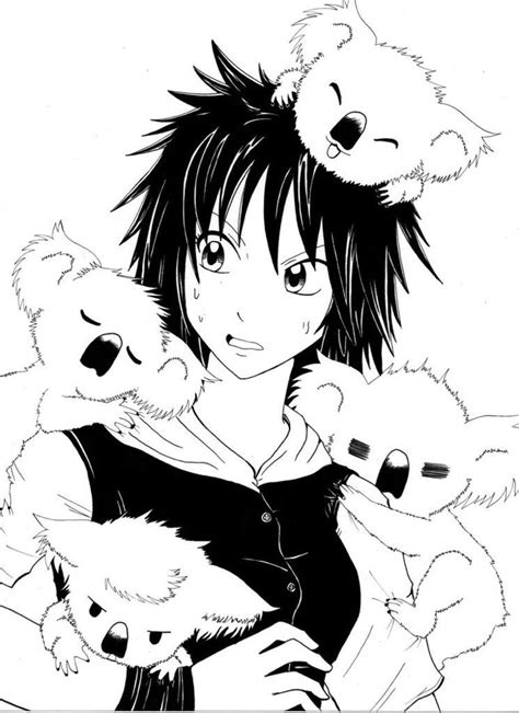 Koalas Wiki Anime Amino