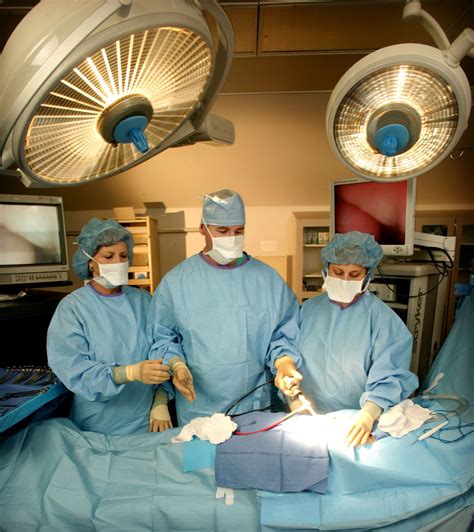 Tips For Day Surgery Procedure Patients