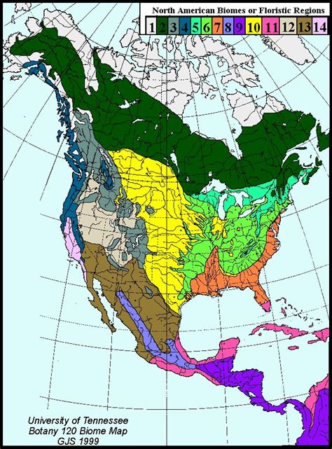 Tree Communities Of The Forest Biomes Of North America Biomes Forest