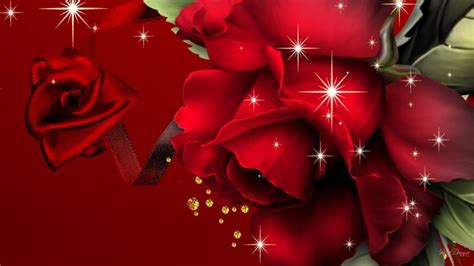 Free Download Red Red Rose Roses Wallpaper 11661961 1280x800 For Your