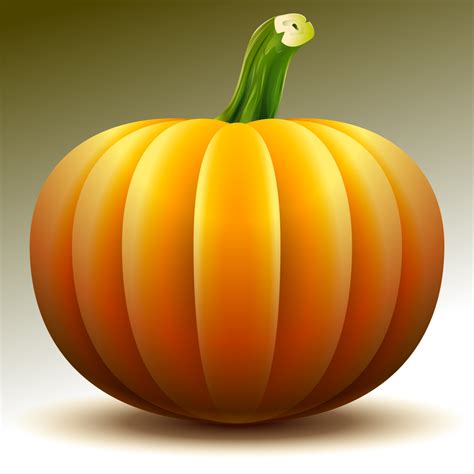 DigitalDrawer: Draw a Pumpkin gambar png