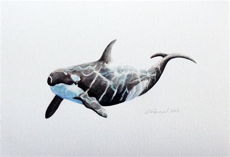 This Item Is Unavailable Etsy Orca Tattoo Orca Whale Art
