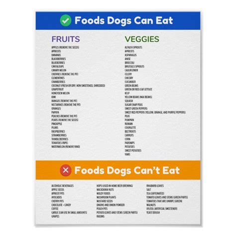 Foods Dogs Can And Cant Eat Poster Zazzle Foods Dogs Can Eat Food