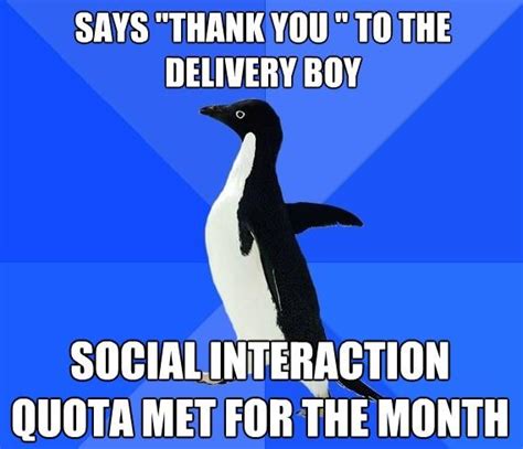 Socially Awkward Penguin Meme Imgflip