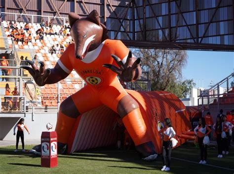 Club de deportes cobreloa s.a.d.p., commonly referred to as cobreloa, is a chilean football professional club based in calama, región de antofagasta, chile. Cobreloa Zorro - Cobreloa | wonderbreadinwales