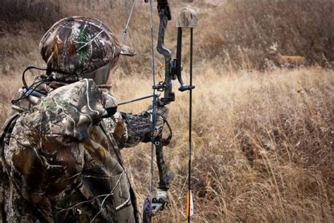 Where To Hunt This Summer 7 States That Allow Summer Bow Hunting