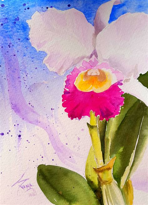 Orchid Watercolor 15 X 20 Cm By Silvana Pohl Beautiful