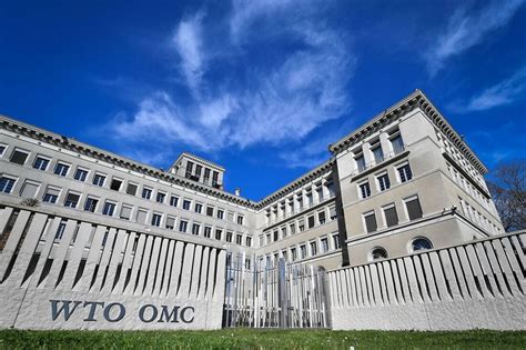 OMC eleva projeções para o comércio mundial em 2021 e 2022 Folha PE