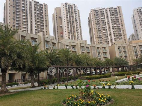 Paras Tierea Sector 137 Noida Apartmentsflats Nobroker