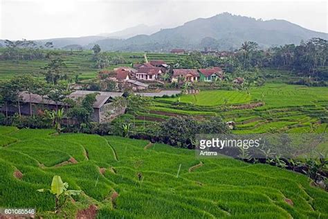 Garut Regency Photos And Premium High Res Pictures Getty Images