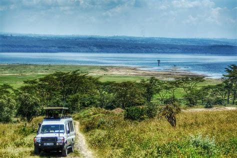 Full Day Lake Nakuru National Park Private Tour From Nairobi Provided