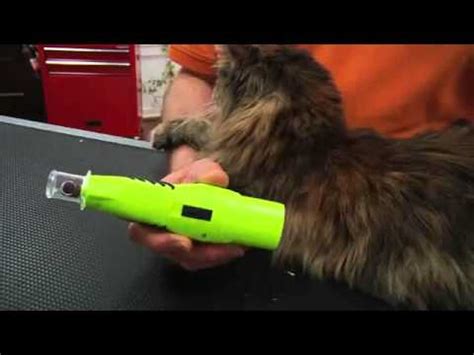 Even more sensitive pets should have no issues. Demonstration: Furminator Nail Trimmer and Nail Grinder ...
