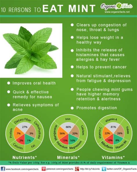 11 Most Surprising Benefits Of Mint