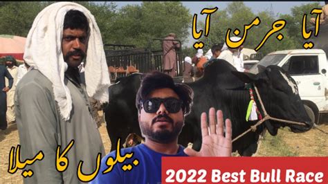 Best Bull Race In Pakistan Bahatar Belot 2022 Youtube