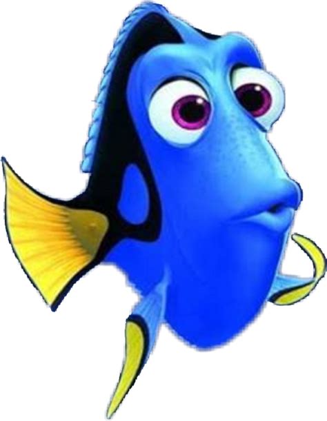 Dory Nemo Full Size Png Clipart Images Download