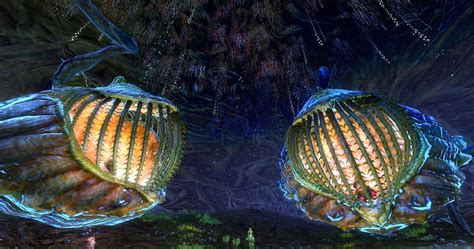 Stachelbeere rot spinefree (reif juli). Garten der Nachtschatten - Guild Wars 2 Wiki
