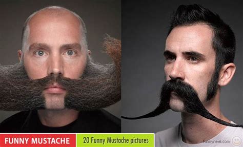 Neelans Blog 20 Funny Mustache Pictures Around The World