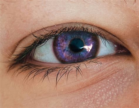 50 Unbelievable Facts The Rarity Of Purple Eyes Revealed 2024