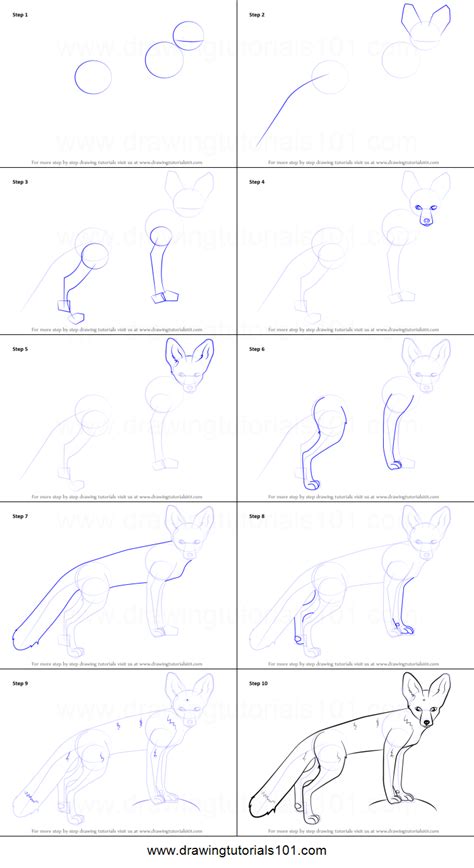 How To Draw A Kit Fox Printable Step By Step Drawing Sheet