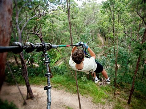 Amazing Ziplines Gold Coast Queensland Mount Tamborine Adventure
