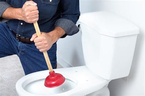 Why You Need Help With A Blocked Toilet And How To Get Help ~ Creative