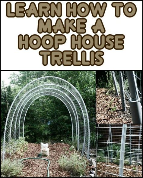 Diy Hoop House Trellis An Awesome Garden Investment Small Garden