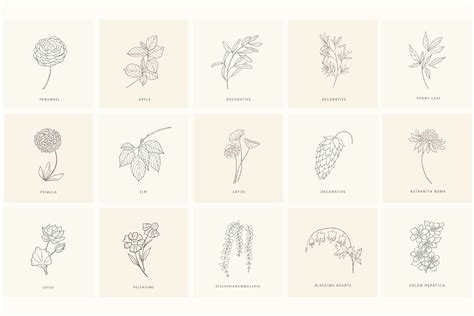 Vector wildflower floral botanical flowers. Birth-Flowers. Trendy Plants & Logos Line Art - Design Cuts