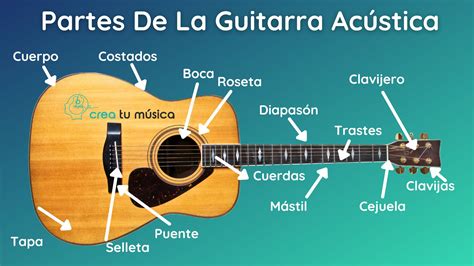 Cuáles Son Las Partes De Una Guitarra Acústica