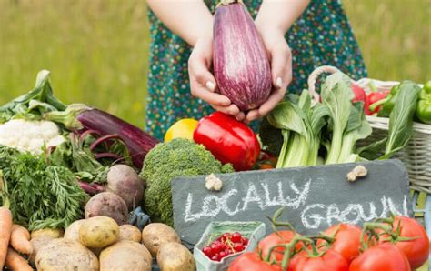 6 Characteristics Of Sustainable Food Eatflavorly