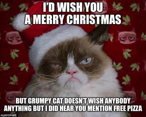 Grumpy Cat Meme Christmas Photos Cantik