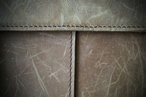 Concept of damage from pets. Repairing Scratches on Leather Furniture | ThriftyFun