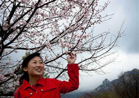North Korean Women Make Regulation Styles Their Own Despite Risking