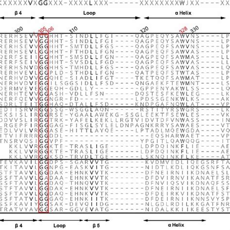 Molecular Models Of Perforin And Pfo Ribbon Representations Of