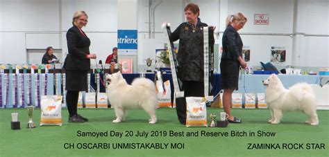 The Samoyed Club Inc Past Events